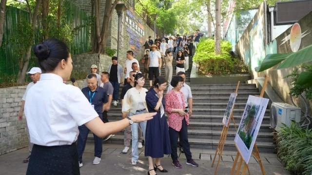 光影赋能文旅融合！“跟着影视游四川” 活动全景展现攀枝花文旅新魅力