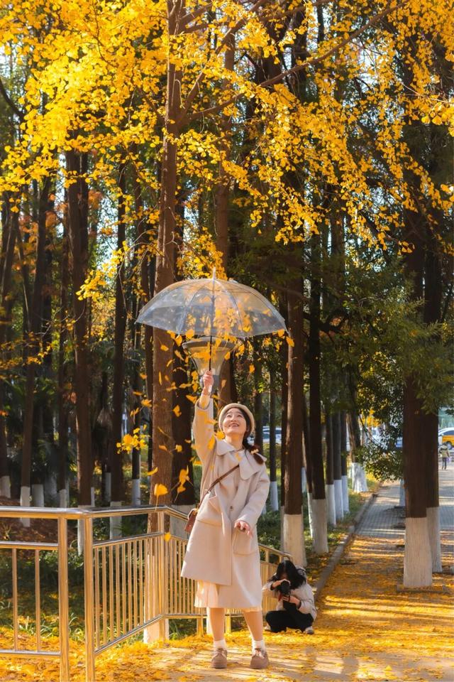 限时绝美！年度顶流！