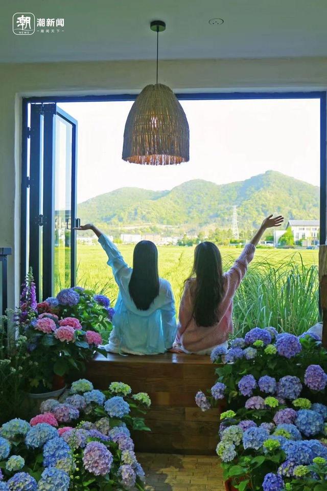 杭州私藏“绿色取景框”合集，六和塔之外还有这些神仙窗景