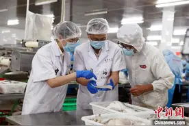 广东供澳门冰鲜水产品通关再提速图片