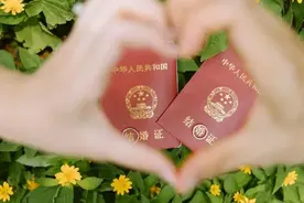 高糖来袭！深圳1004对新人“七夕”领证图片