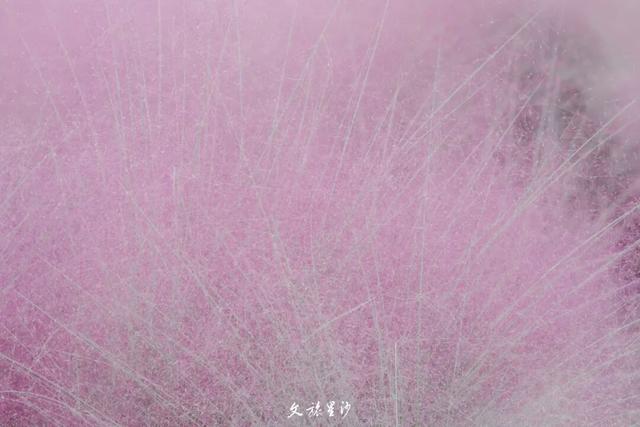 接下来的星沙也太好拍了吧！