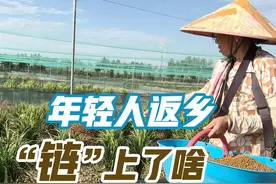 深读｜年轻人返乡，“链”上了啥图片