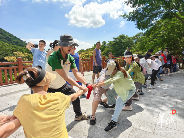 广州南沙百组家庭在黄山鲁森林公园参与生态科普活动，探索自然迎全运