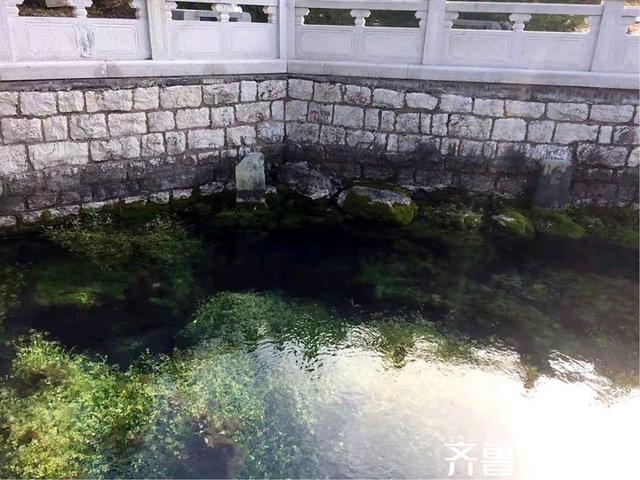 水韵悠悠访泉林