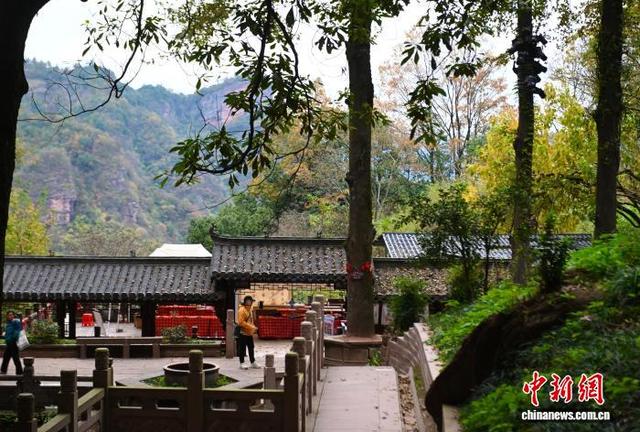 海外华文媒体打卡齐云山 感受多元化沉浸文旅体验