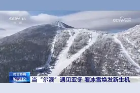 当“尔滨”遇见亚冬 看冰雪焕发新生机图片