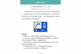 9级阵风！蓝色预警！南京气象最新提醒图片