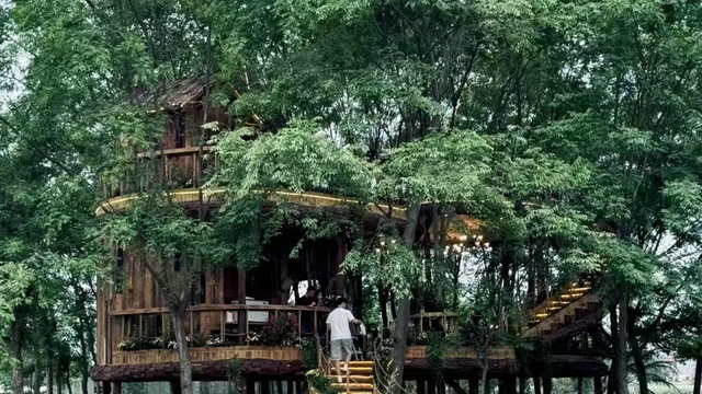 诗意清流 林盘深处的诗与远方