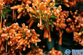 三八妇女节走心高级文案 妇女节暧心祝福语说说句子图片