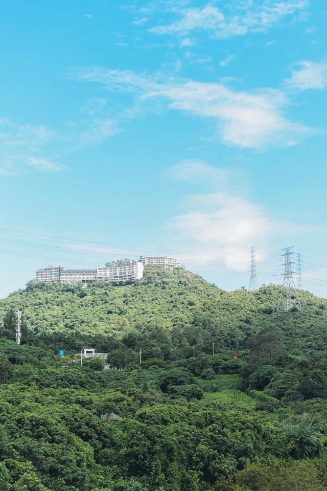 谁说市区没有神仙徒步线？绝美湖岸绿道太香了！