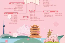 相约春天赏樱花！极目新闻记者带您打卡武汉三镇赏樱地图片
