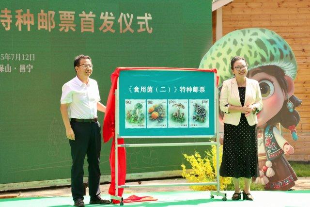 昌宁邀你来拾菌！保山举办“跟着邮票游云南”分会场主题推广活动