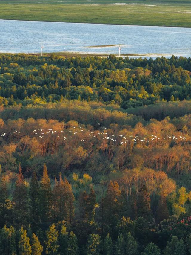崇明这条生态研学路线，走起！