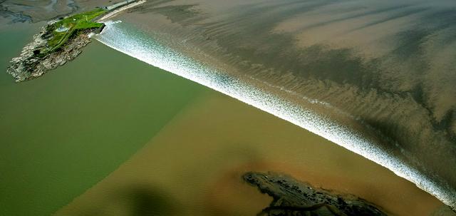 惊叹！钱塘江的“私藏”绿色潮水