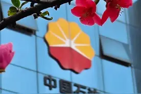 财报解读｜一年净赚近1647亿元！中国石油2024年净利润再创历史新高图片