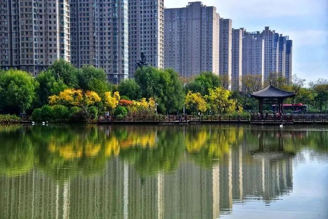 今儿起，在洛阳能边坐地铁边摸「文物」啦！
