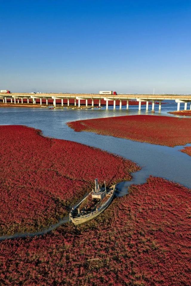 周末别宅了！青岛这5个宝藏地，现在去正好