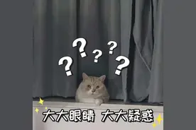 咸蛋为什么多用鸭蛋，鸡蛋“差”在哪？图片