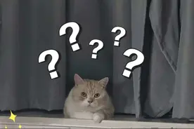 为什么只有咸鸭蛋，却没有咸鸡蛋？图片