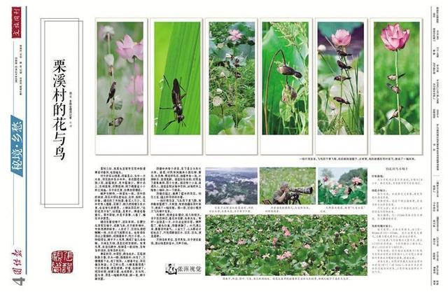 花开两百期 山河共此卷——《团结报·文旅周刊》里的湘西文旅大事记