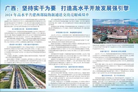 广西：坚持实干为要 打造高水平开放发展强引擎图片
