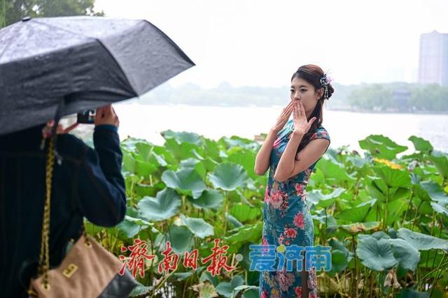 一年四季 泉在济南 | 烟雨大明湖邂逅“夏雨荷”，国庆雨中游热度攀升