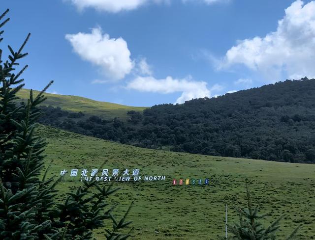 散文丨蒋集政：赤峰草原行