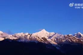 《炫美中国·七彩云南》自然篇丨神奇犀鸟在云南图片