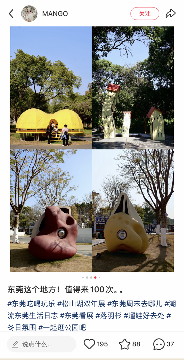 最美松湖｜双年展进入最后倒计时！与绝美落羽杉同框时机就在本周→