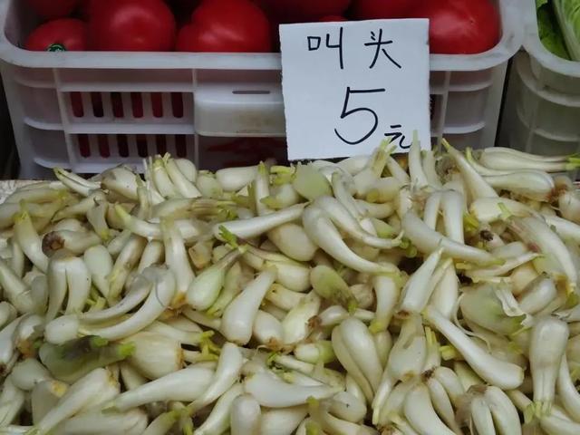 盘点那些被读错的植物｜荸荠、蕺菜、藠头，见过吃过也听过，就是不会读？