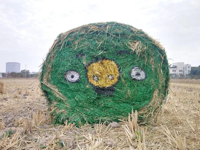 超出片的草垛“瑞士卷”，闵行也有啦！