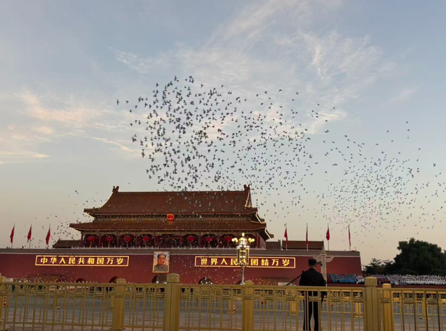 千万里 只为这一抹红