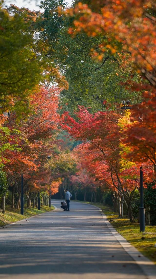 太仙了！美到巅峰！这个周末，又要人人人啦~