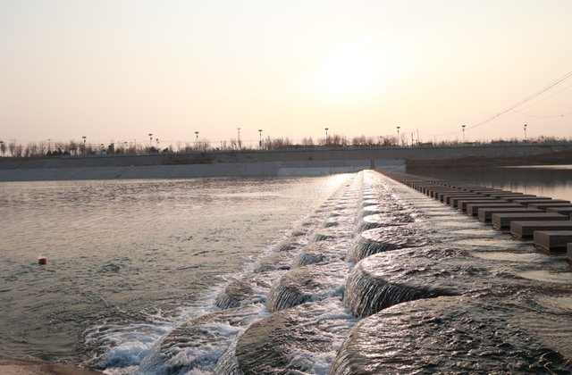 元氏：冬日槐河湿地展现静美画卷