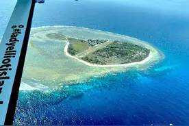 旅游｜大堡礁不仅有心形礁，也不能错过潜水天堂伊利特女士岛图片