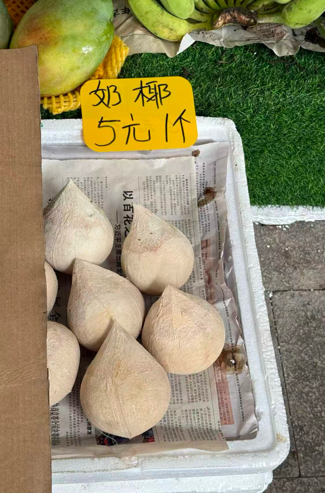 三亚县城，新晋「穷鬼度假」天堂？