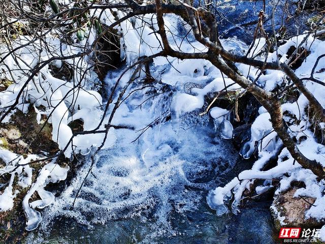 一半冰雪，一半碧波，冬日黄龙的色彩魔术
