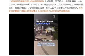 未拴绳宠物狗吓哭女孩，爷爷当场将狗摔死，官方通报→图片