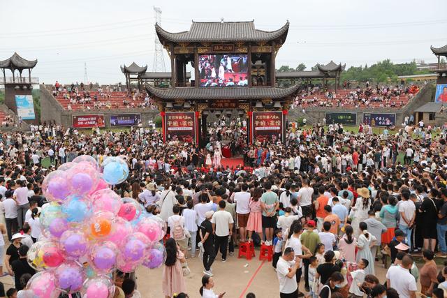 来新洲体验不一样的风景 一路向东，登高观鸟看江豚