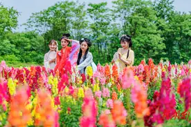 假期第四天，湖南接待游客近1420万人次图片