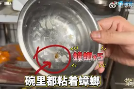 知名餐饮品牌被曝后厨蟑螂横行！成本5元汉堡卖15元，加盟合作费88000元图片