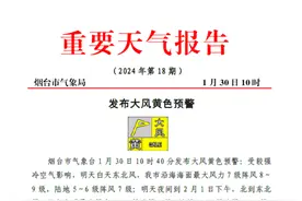 烟台发布大风黄色预警！沿海海面最大风力7至8级阵风9级图片