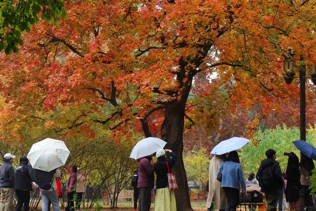 北京：立冬迎小雨