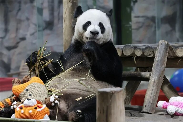 年轻人为何爱上“窝囊游”？