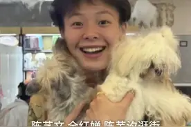 运动员奥运回国后都在干嘛？看演唱会的、逛街撸猫的……国乒：开会中勿扰图片