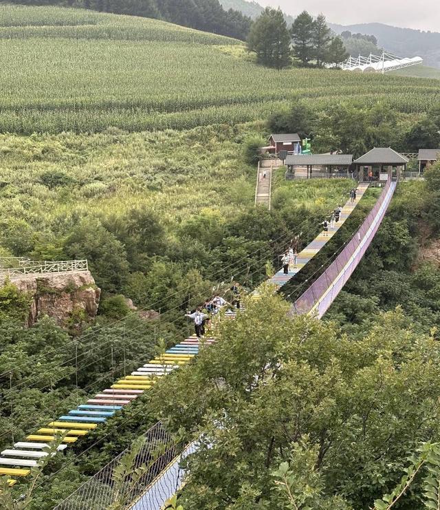 辽宁一景区大峡谷“高空漫步”项目被调侃“过于安全” 景区：实际是很高的