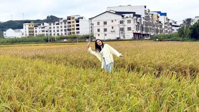 跟着节气来打卡 | 今日立冬，美好正当时！来南宁收藏一帧初冬的浪漫画卷