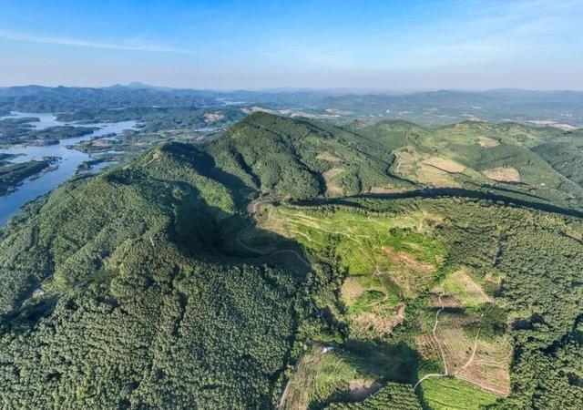 白沙喜提国家2A级旅游景区，陨石坑生态茶园+集市周末联动玩法请收藏！