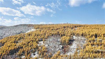 草茂林丰的生态底色